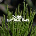 Soothing Natural Rain专辑