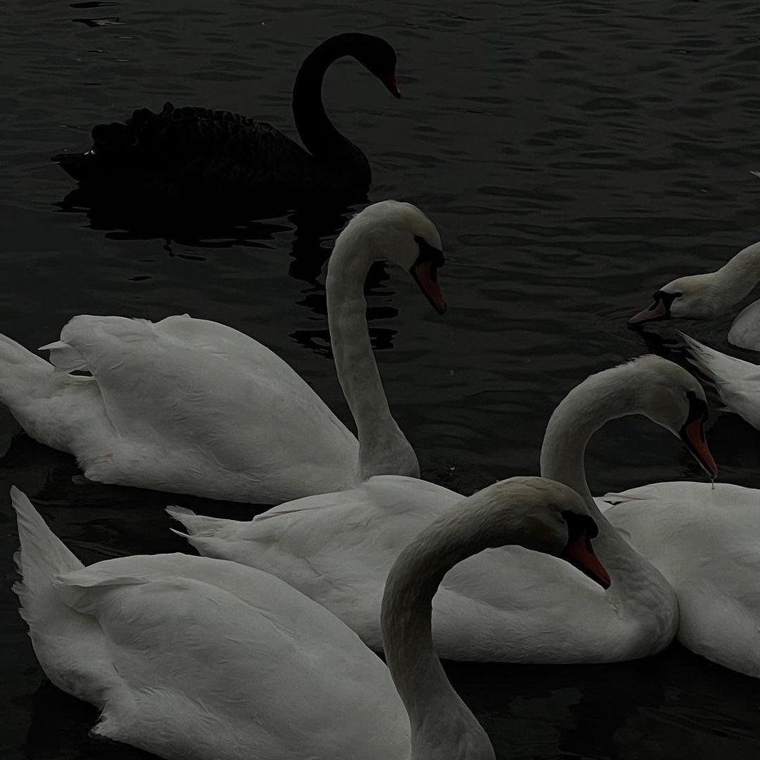 Kina-Get You the Moon（rule / Wang Yl remix）