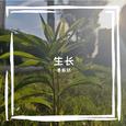 生长