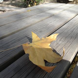 曾经一起走过的地方~