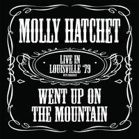 Molly Hatchet - Bounty Hunter (Karaoke) 带和声伴奏