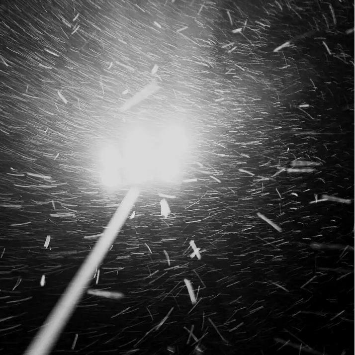 我想念（0.8x变速版）