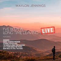 Jennings Waylon - Clyde (karaoke)