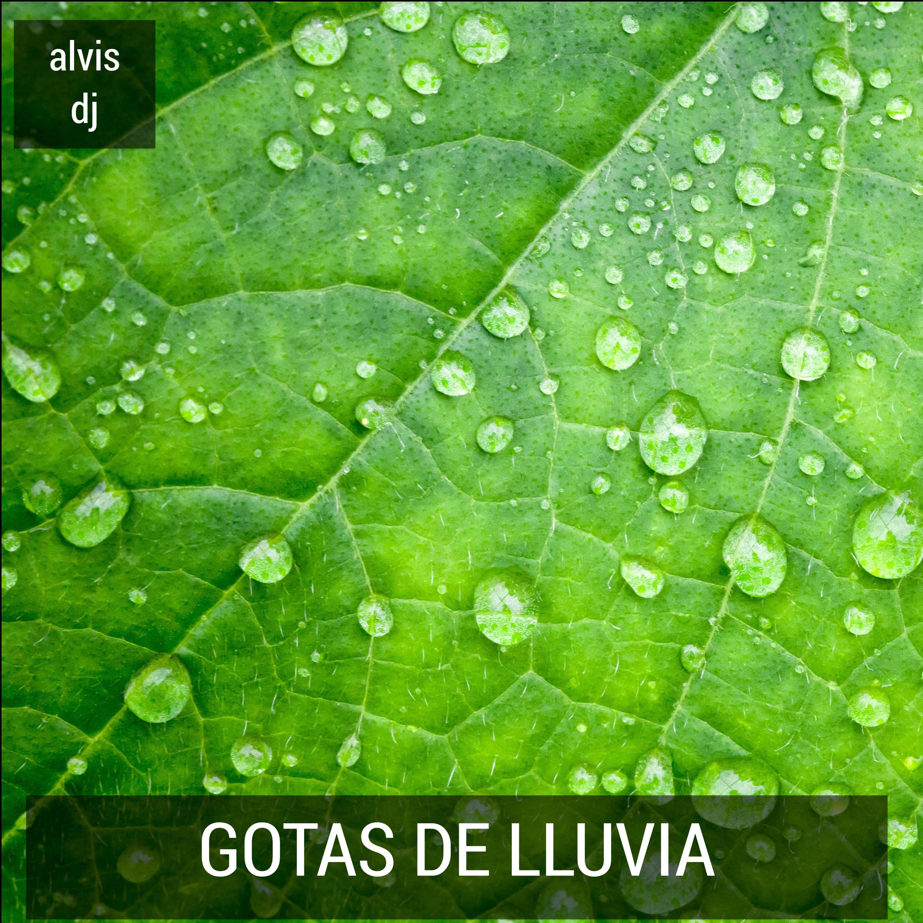 Gotas De Lluvia