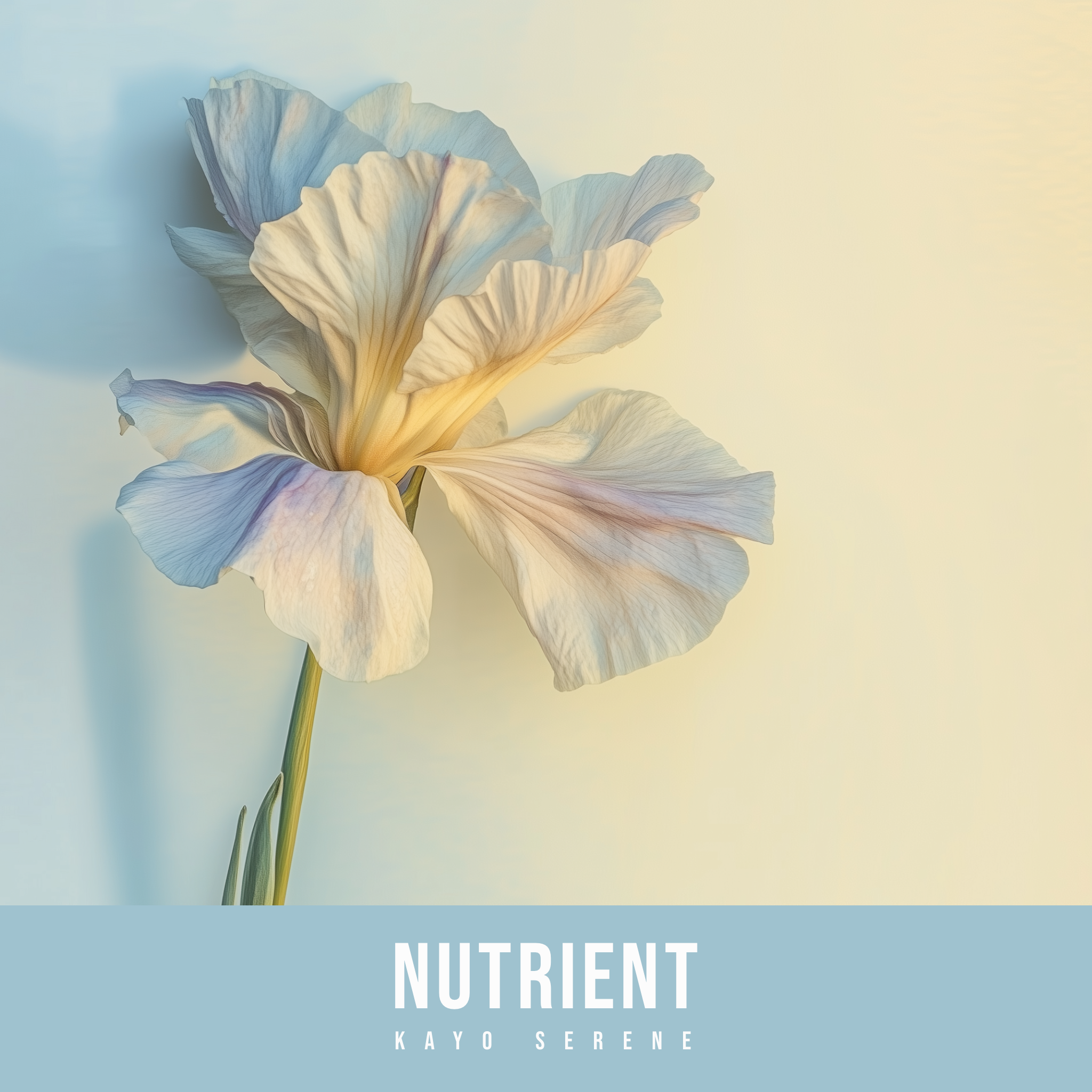 Nutrient专辑