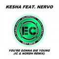 You're Gonna Die Young (IC & Nordh Extended Remix)