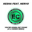You're Gonna Die Young (IC & Nordh Extended Remix)专辑