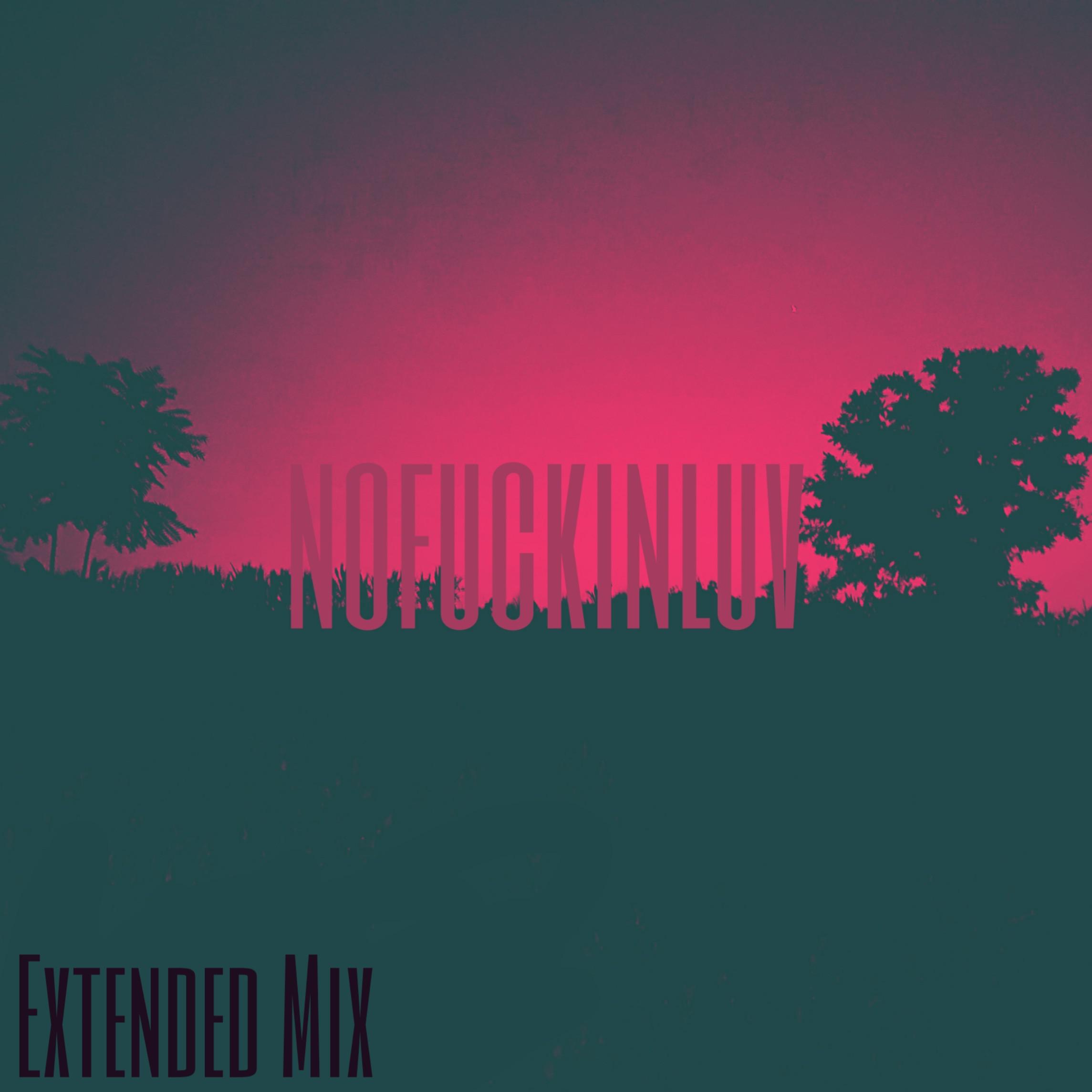 no****inluv(Extended Mix)专辑