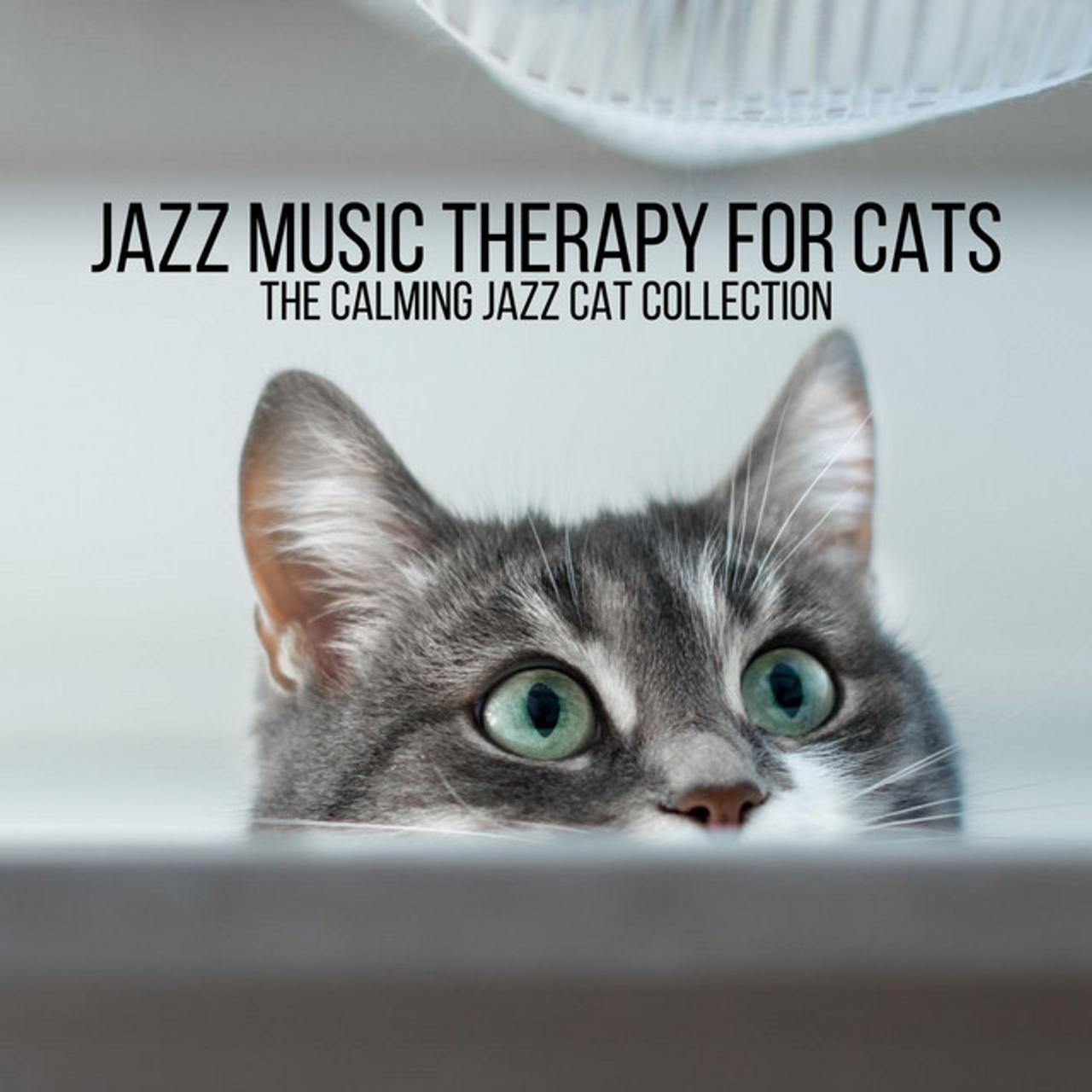 Jazz Music Therapy for Cats
