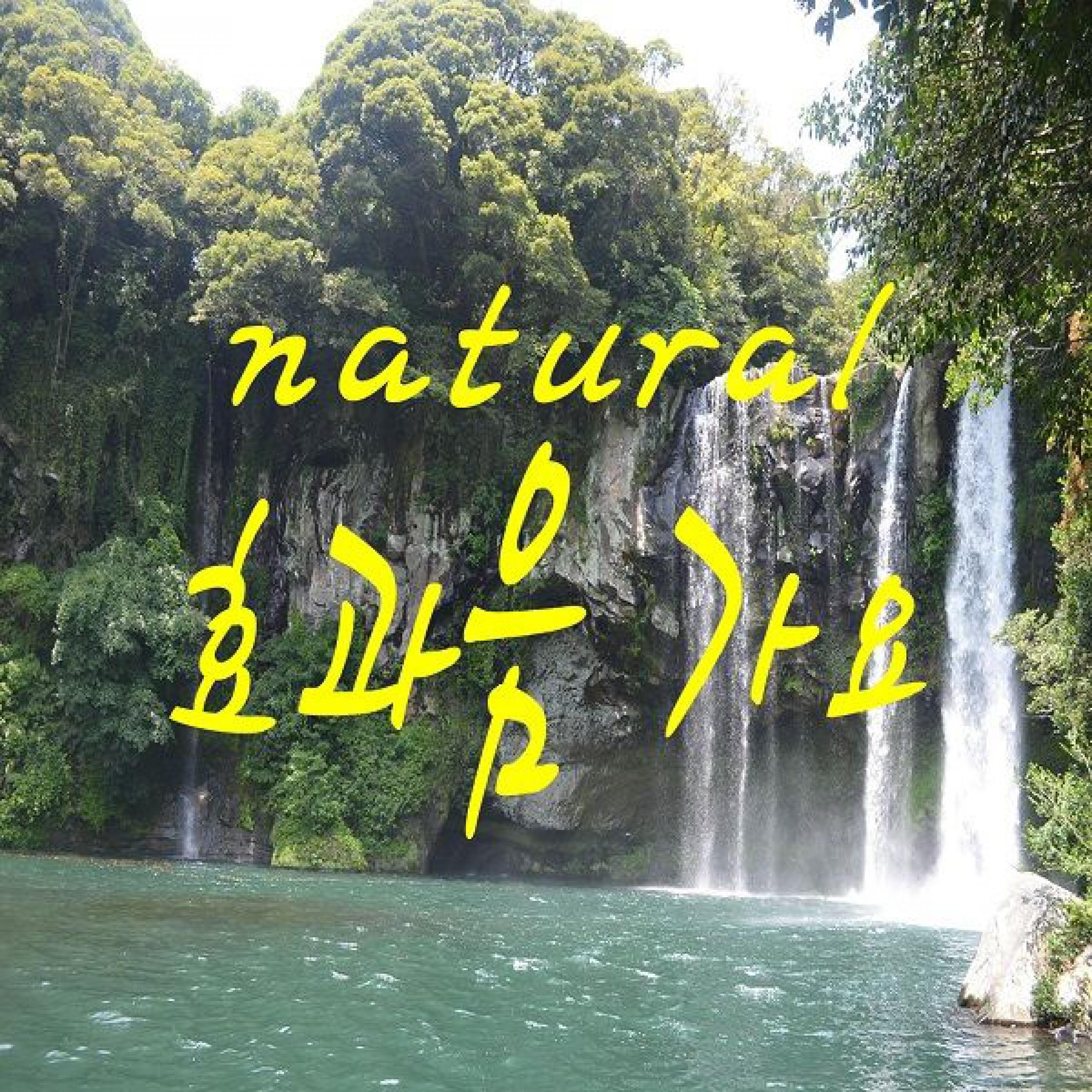 내 하나의 사람은 가고