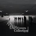 小孩的Covers Collection