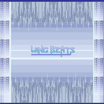 Wing Beats