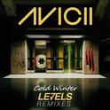 Levels（Cold Winter Remix）专辑