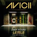 Levels（Cold Winter Remix）专辑