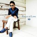 Pieces of Love专辑