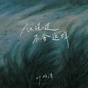 你说过不会这样专辑