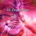 25 Zen Storms专辑