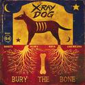 Bury The Bone专辑