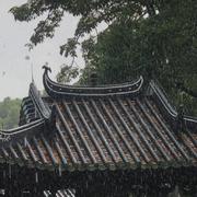 初听不识曲中意，再听已是曲中人