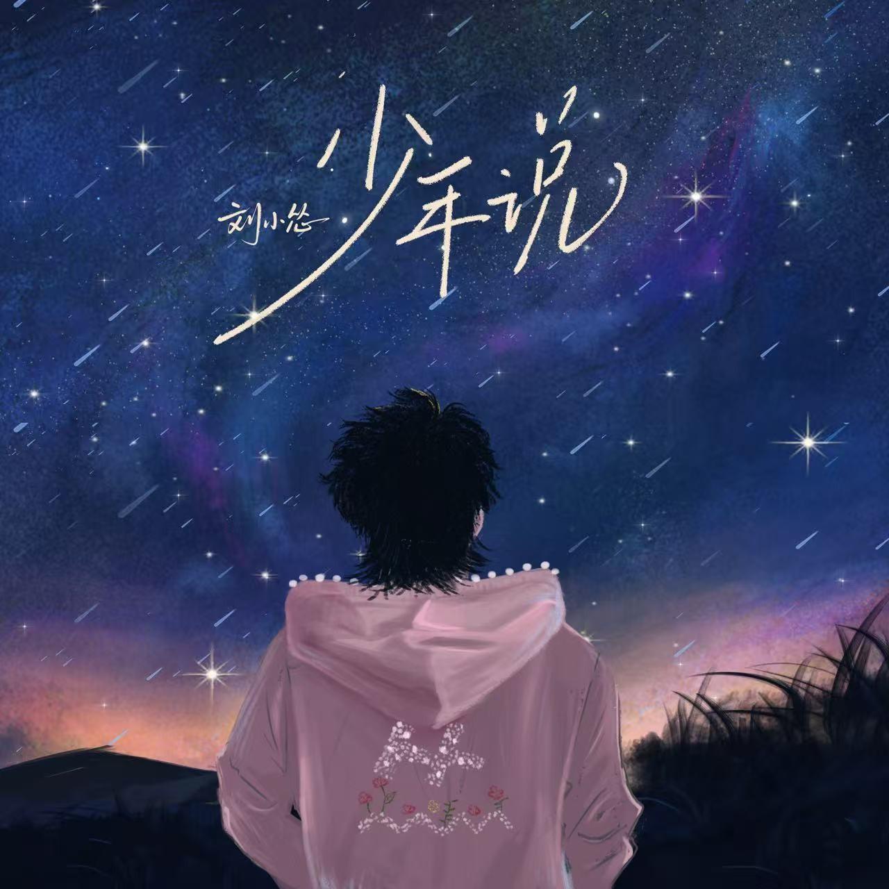 少年说