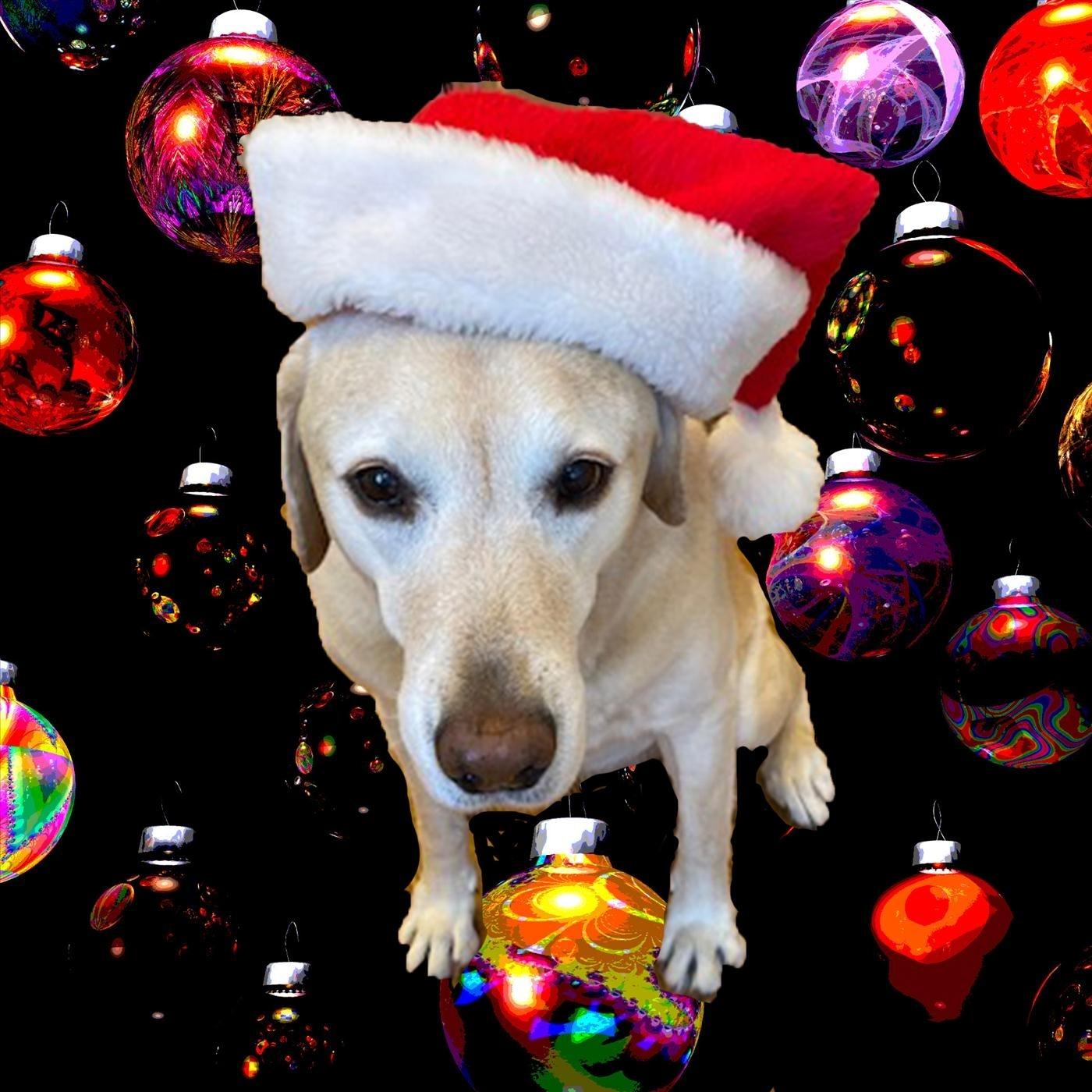 O Holy Night