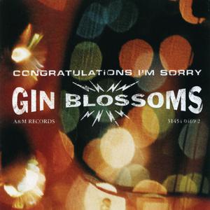 Gin Blossoms - Til I Hear It from You (PT karaoke) 带和声伴奏 （降4半音）