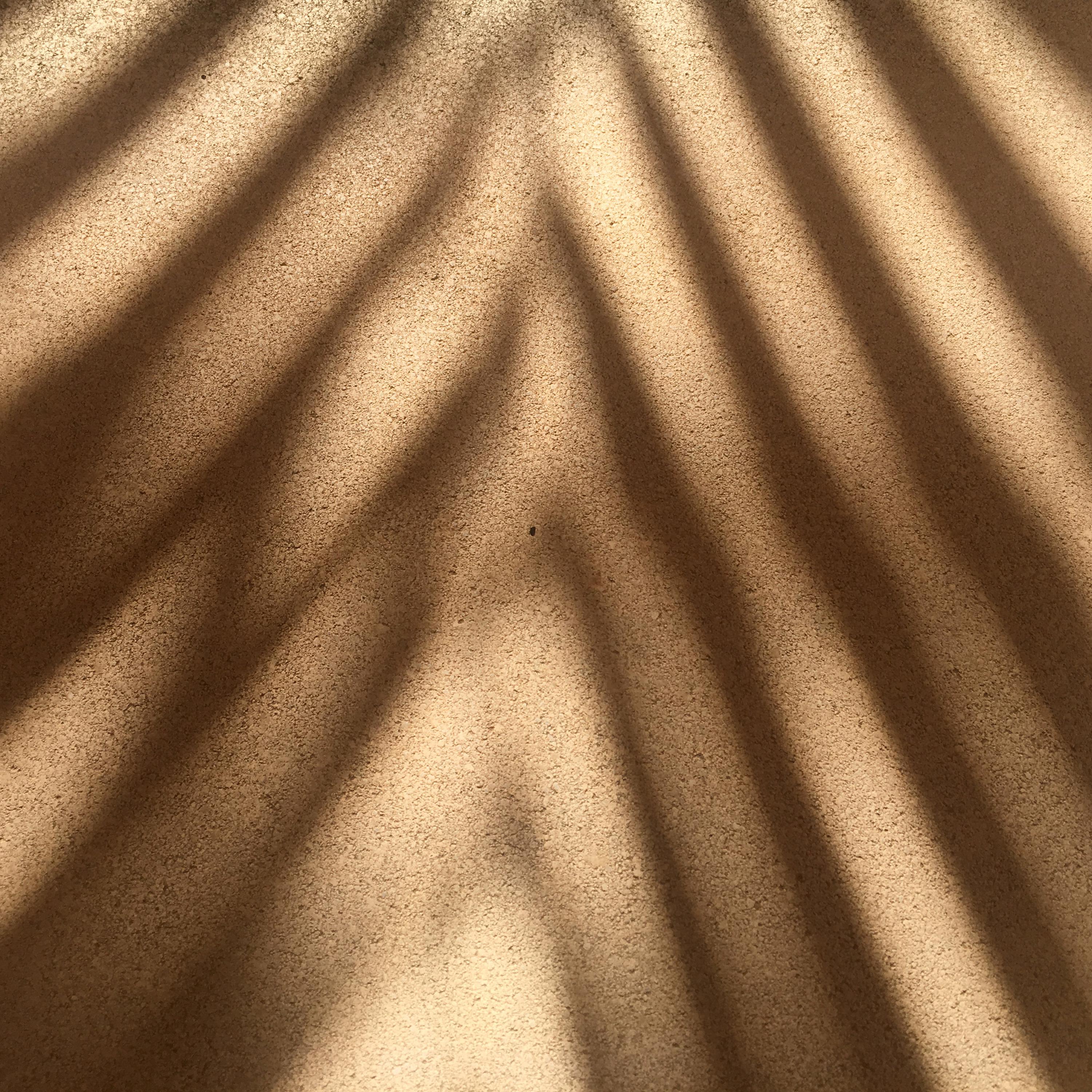 Warm Sunshine