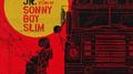 The Story of Sonny Boy Slim专辑