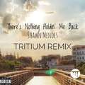 There's Nothing Holdin' Me Back(Tritium Remix)