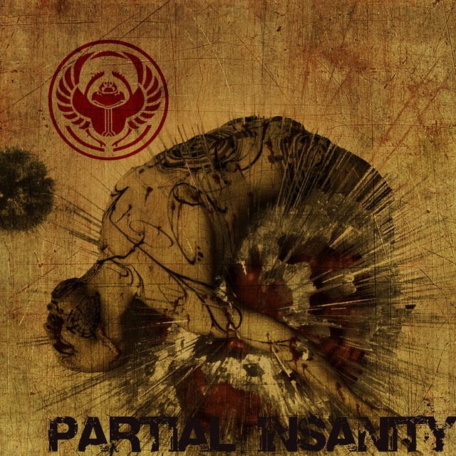 Partial Insanity