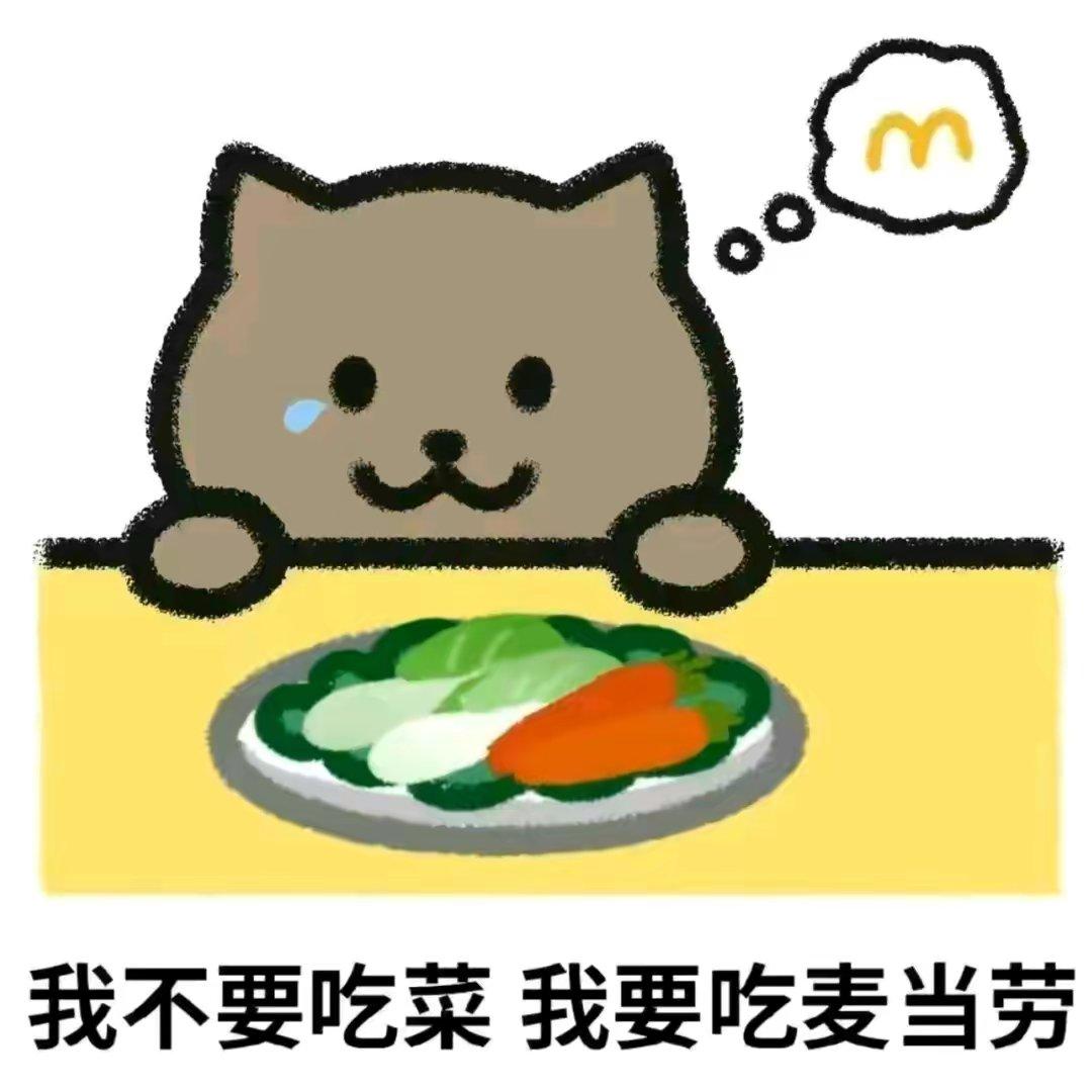 胖猫天天能吃麦当劳