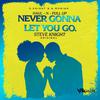 Steve Knight - Never Gonna Let You Go