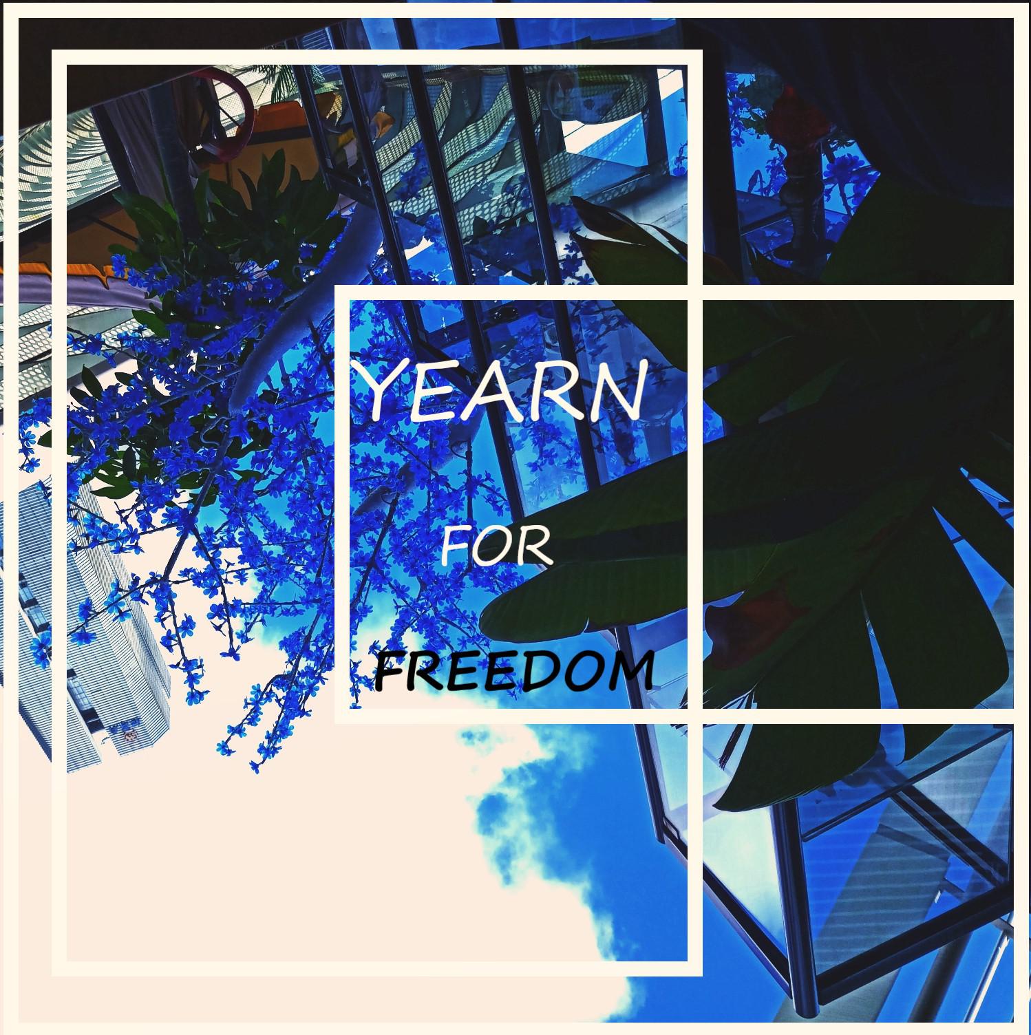 YEARN FOP FREEDOM专辑