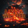 Trye - Like A Wildfire (Radio Edit)