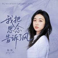 杨烁 - 我把思念告诉了风 (伴奏)