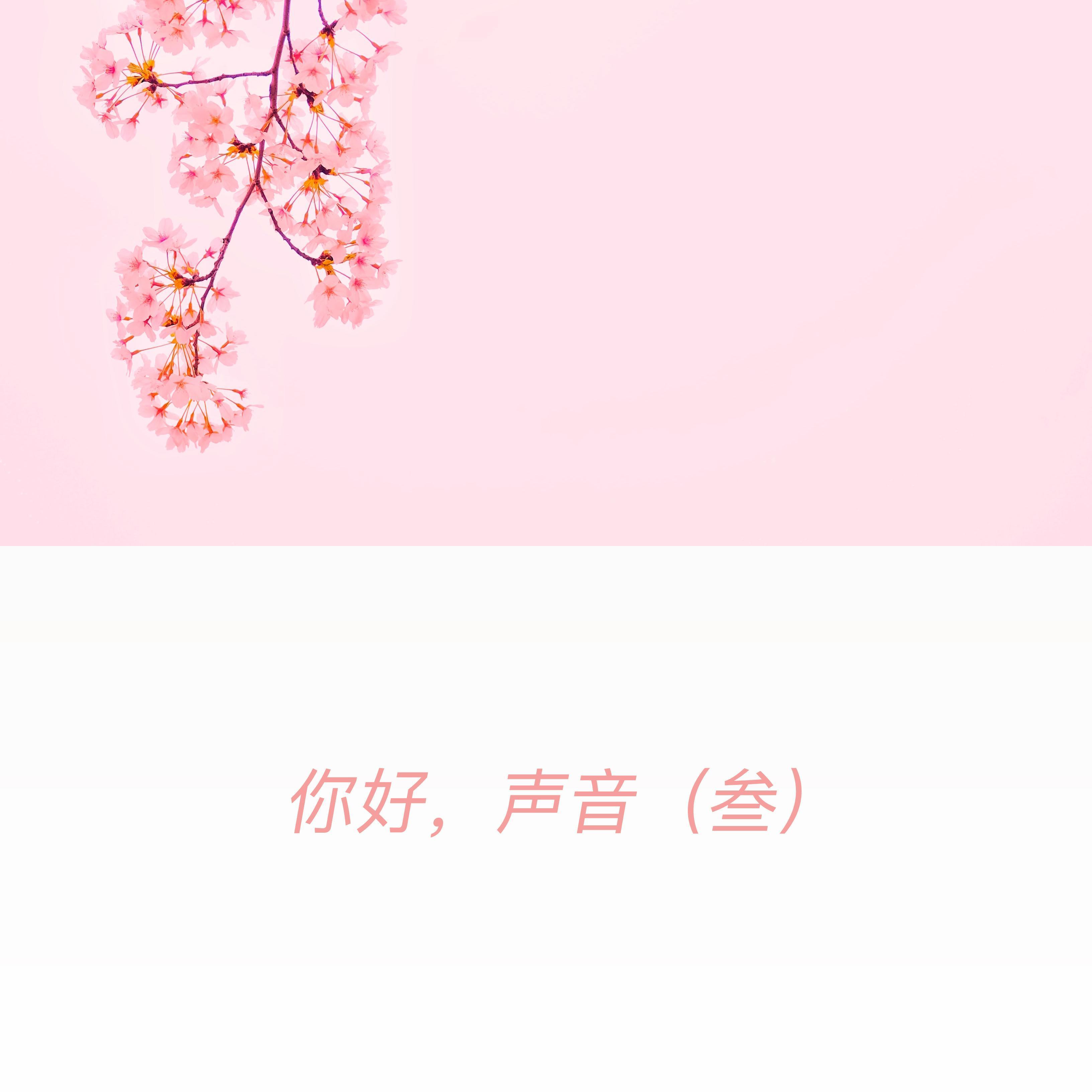 你好，声音（叁）