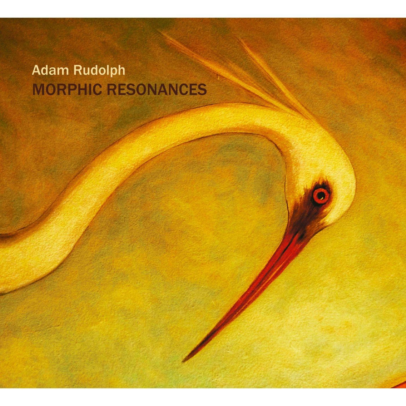 Morphic Resonances