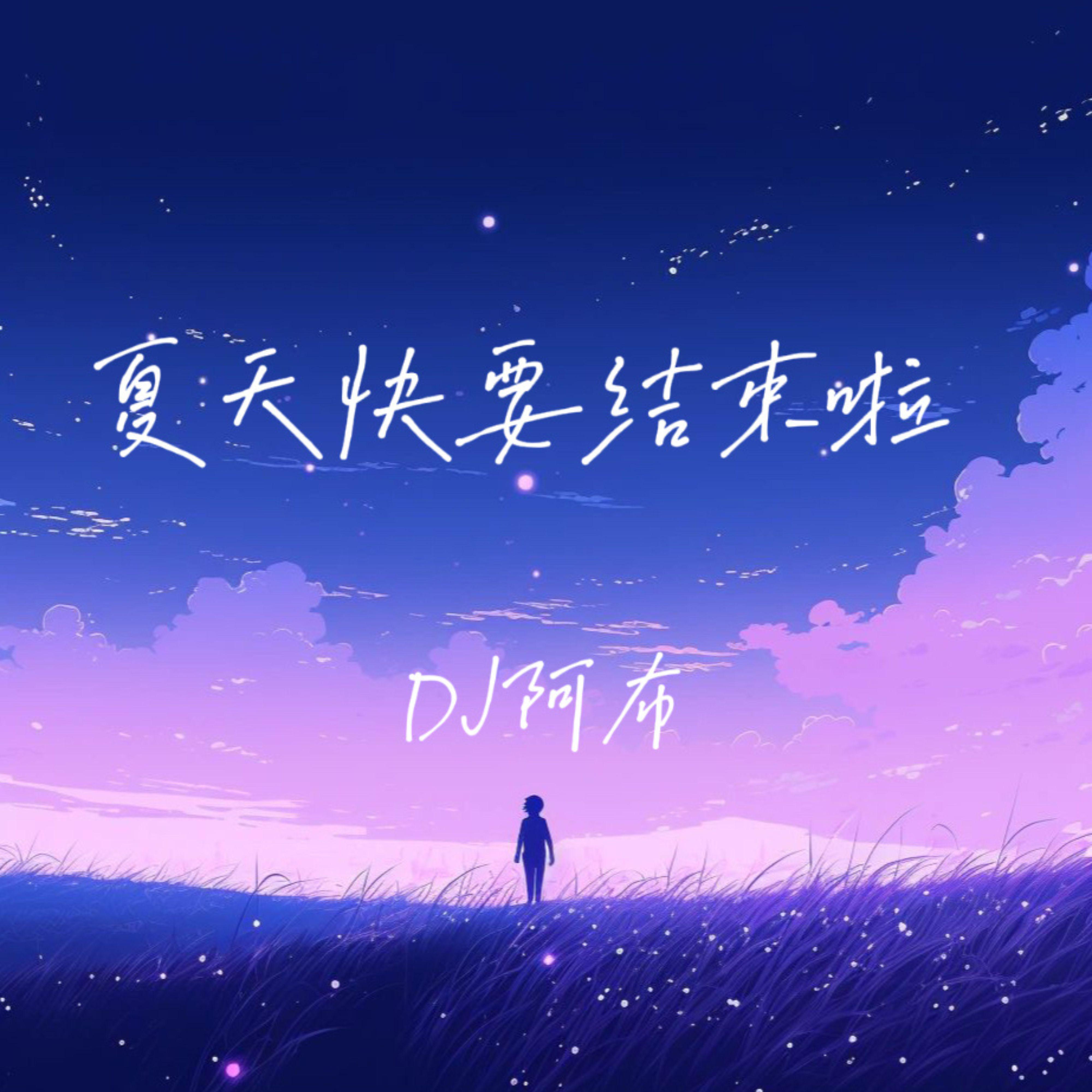 DJ阿布 - 我的眼中只有你