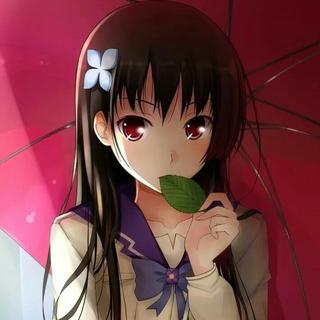 毕竟王稳健