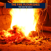 Hushing Blaze Fire Sound - Night Forest Fire