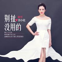 苏小花 - 我是女汉子(DJ何鹏版伴奏)