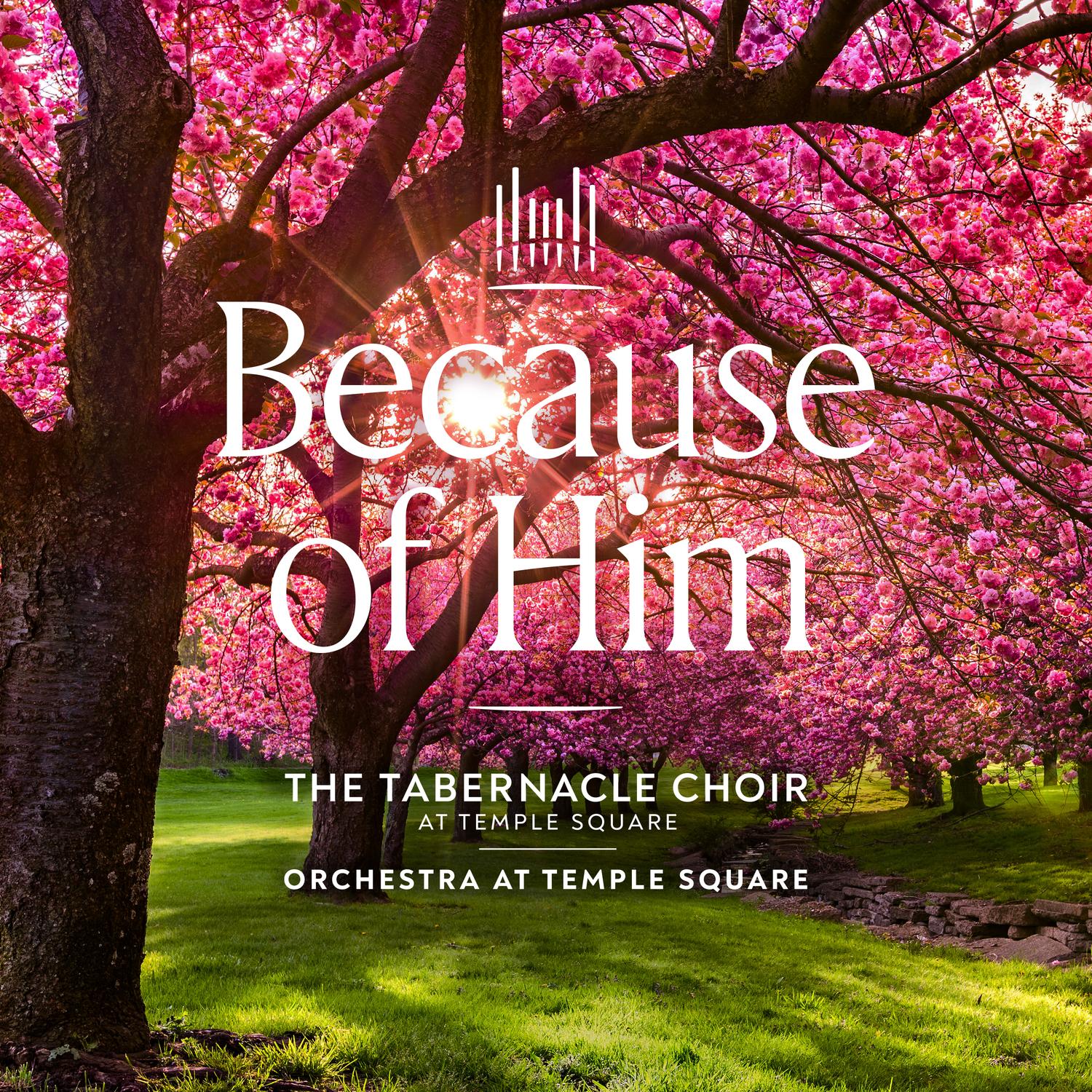 Because of Him