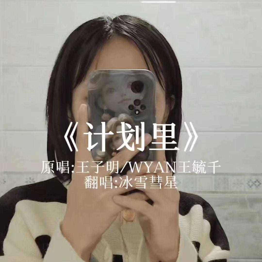 计划里