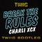 Break The Rules (TWIIG Bootleg)专辑