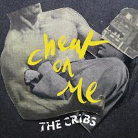 Cheat on Me - Cribs (HT Instrumental) 无和声伴奏
