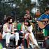 Edward Sharpe and the Magnetic Zeros