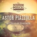 Les idoles du bandonéon : Astor Piazzolla, Vol. 5