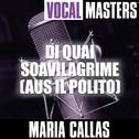 Vocal Masters: Di Quai Soavilagrime (Aus Il Polito)