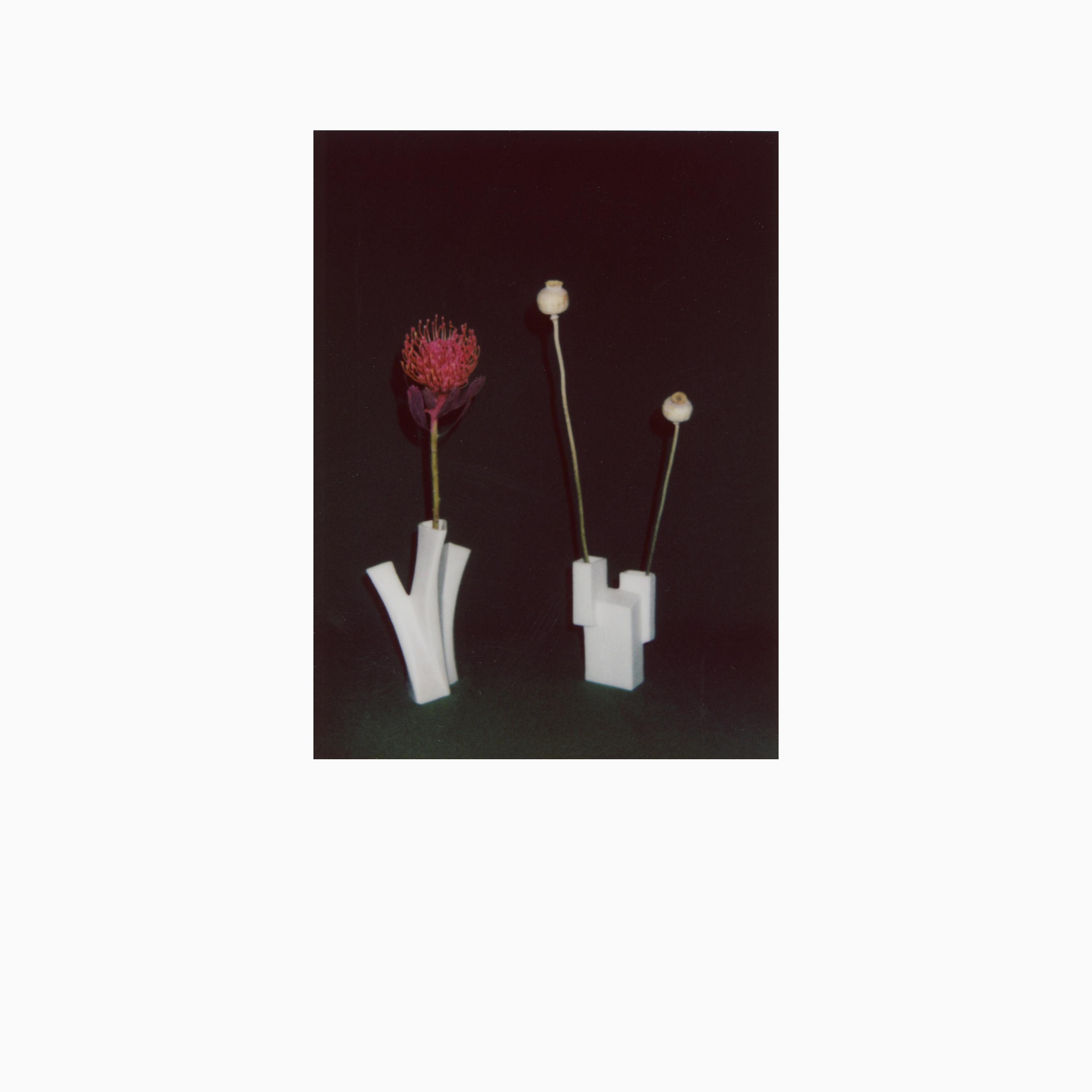 The Flower And The Vessel