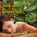 Sleep in a Rainforest (Nature Sound)专辑